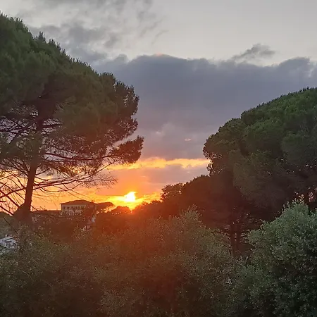 Pieri Blu * Fauglia